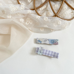 hairclip set