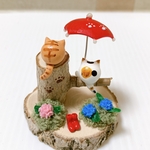紫陽花とねこ