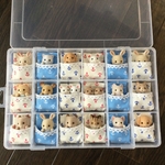 【新作】シルバニア　赤ちゃん　ベッド　お布団　ケース　収納　イカリ柄