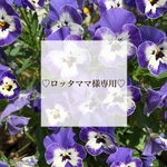 ロッタママ様専用ページ♡