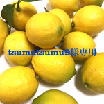 tsumutsumu9様特別オーダー品