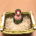 コザクラインコちゃん（ノーマル）