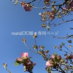 noaria1010様＊専用ページ