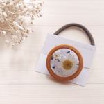 とと様専用ページ𓂃𓈒𓏸