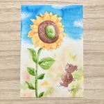 🌻透明水彩画「大きなひまわり」イラストポストカード２枚セット 暑中見舞いはがき 暑中はがき 花　残暑見舞い　父の日　母の日🌻