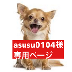 専用ページ