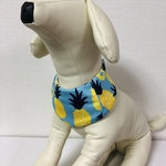 犬用 🐬ウォータークールバンダナ　保冷剤ポケット付き　水で濡らすだけでもひんやり🍍パイナップル柄