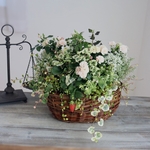 朝のフレッシュないちご摘みバスケットPlantsギャザリング