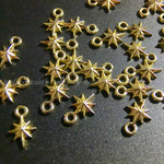 ブライトスターチャーム（S）(10個入)【59982】