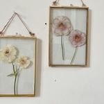 Pressed Flowers  ガラスフレーム 押し花 ラナンキュラス