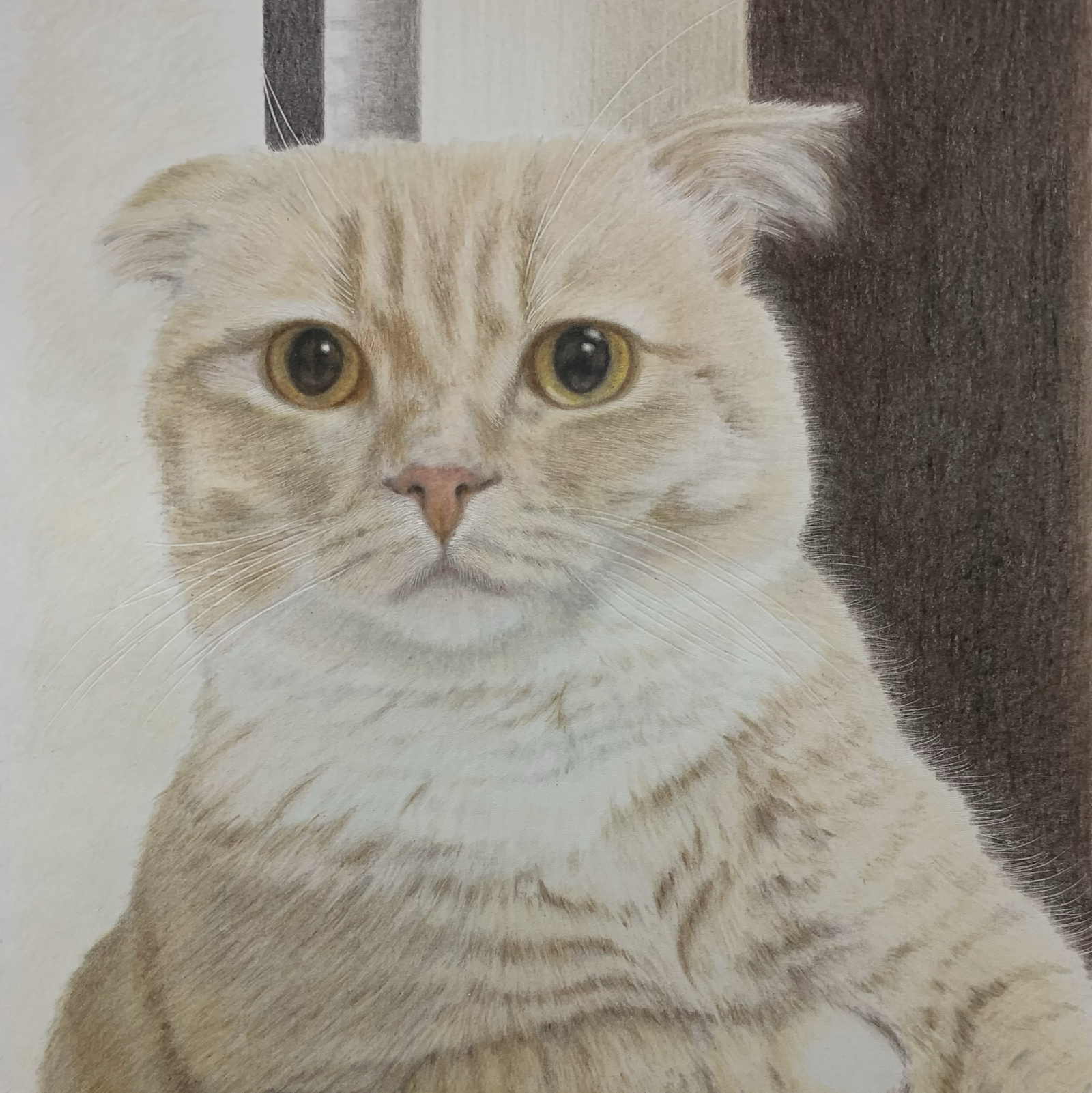 ペットの似顔絵 ネコ似顔絵 オーダーメイド リアル イラスト