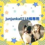 junjunka0218様専用