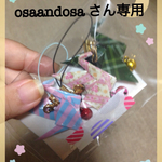 osaandosa さん専用(2)