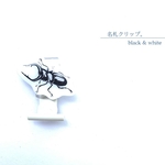 名札クリップ　なふだクリップ