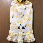 もぎたてパインあめワンピ