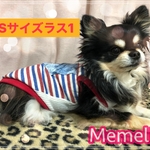 ダックス用🐕春夏にぴったりのヴィンテージボーダータンクトップ🥰