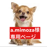専用ページ