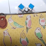 fenliulf様専用バッグ