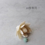 専用ページ