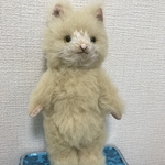 寅次郎2号(ねこ・Mサイズ)