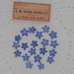 押し花 わすれな草　勿忘草　レジン　ハーバリウム　キャンドル　素材　花材　アクセサリー 