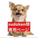 専用ページ