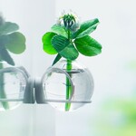 《お得》2個1組【送料無料】 一輪挿し　Glass ball　30mm【マグネット】