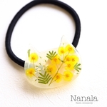 本物のお花のヘアゴム　ミモザ　レジンアクセサリ―