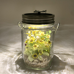 ソネングラスmini 250ml M-0014