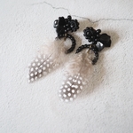 Dancing Black Bird  Pierce𓅯₊⁺₊