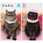 再入荷❗マーガレット柄シュシュ、猫ちゃんの首輪