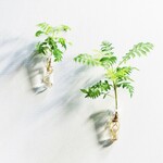 《お得》2個1組【送料無料】 壁に飾る一輪挿し　Test tube　【ピン】