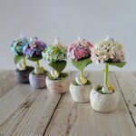 こんまり紫陽花プランターⅡsmall