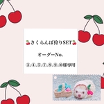 🍒さくらんぼ狩りSET🍒オーダーNo.③.④.⑤.⑦.⑧.⑨.⑩様専用