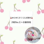 🍒ゆらゆらさくらんぼ頭巾🍒予約No.①～⑥様専用