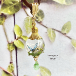Steam Garden〜陽だまりの刻〜蒼