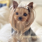 【 犬用💄バレッタ 】 おしゃれ　トップノットペット　子供　ヘアアクセサリー　リボン　バレッタ　♡AquaMana♡
