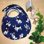 SALE!!!!2.フレンチブルドッグ  