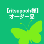 【ritsupooh様オーダー品】羊毛フェルト