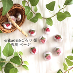 《受注》いちご さくらんぼ 刺繍 ヘアゴム  (シリコンゴム 変更可)