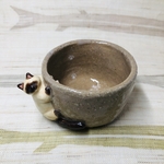 ネズミを捕まえたはいいけどどうしていいか分からないシャムねっこぐい呑
