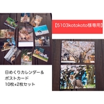 【5103kotokoto様専用】島ねこ日めくり＆ポストカード１０+２枚セット