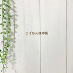 こばちん様専用
