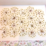 ♡new♡作家様必見♡ 人気のコデマリがいっぱい♡押し花セット♡