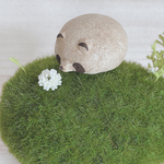 苔玉でおやすみたぬき