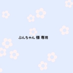 ぶんちゃん様 専用