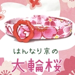 はんなり京の和柄＊迷子札付＊軽い 首輪 ＊ 大輪桜