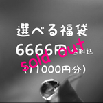 《送料無料》選べる福袋 3000円 （4000円分）