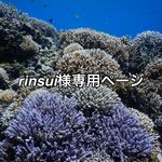 rinsui様専用ページ