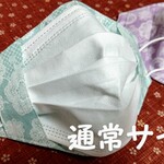 🌸パステルカラーの不織布マスクカバー🌸2色組🎶